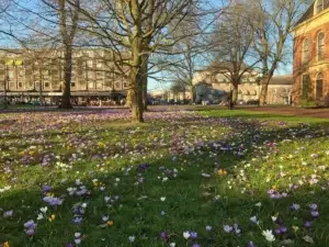 De Brink in Assen