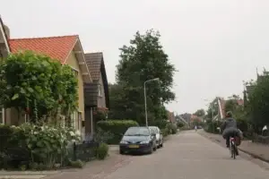 Dorpsstraat met woningen en pannendaken in Hippolytushoef