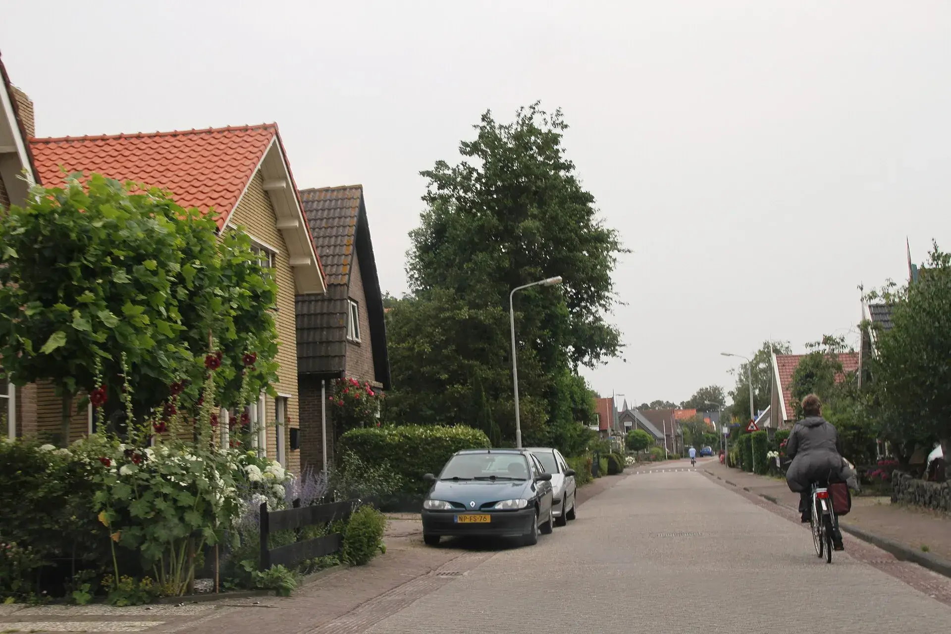 Dorpsstraat met woningen en pannendaken in Hippolytushoef